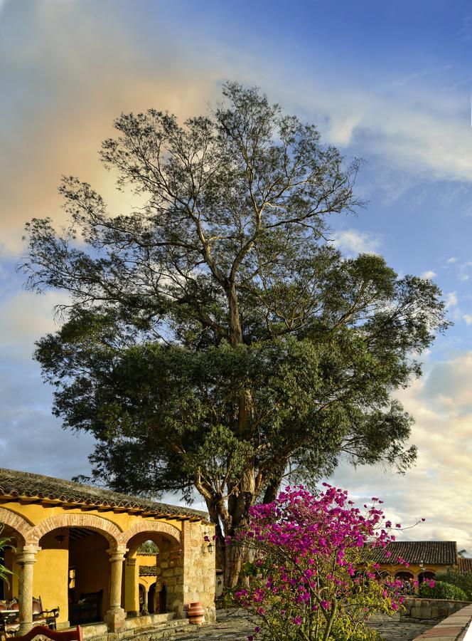 Hotel Hacienda El Salitre Пайпа Экстерьер фото